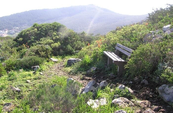 Tygerberg Nature Reserve
