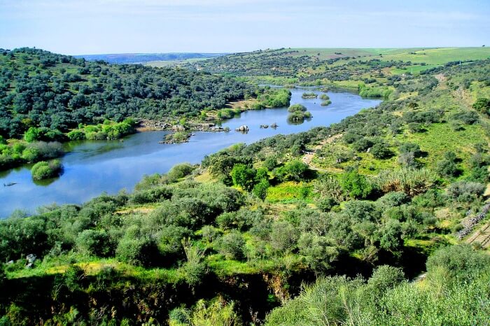 Vale Do Guadiana
