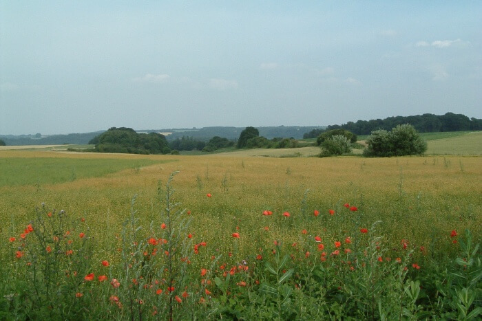 Valleys Of The Burdinale & Mehaigne Natural Park