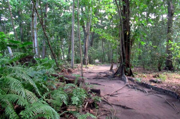 Veuve Nature Reserve