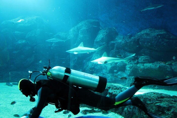 Tank People and Aquarium