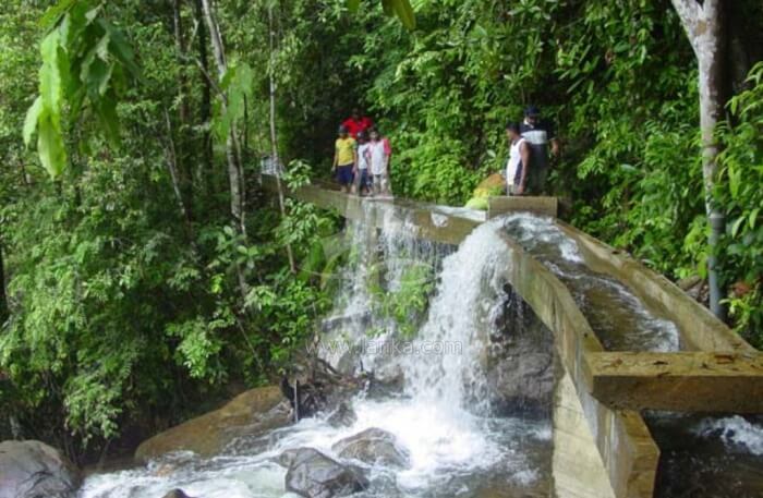 Vivid Waterfalls