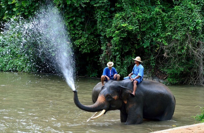 Waterfall Excursion