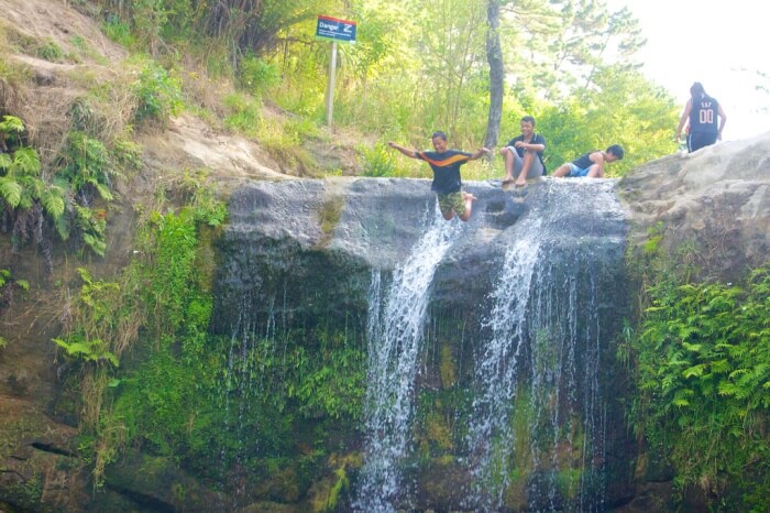 Waterview Reserve