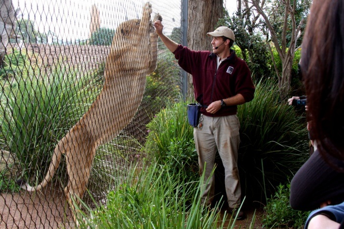 At Werribee Open Range Zoo