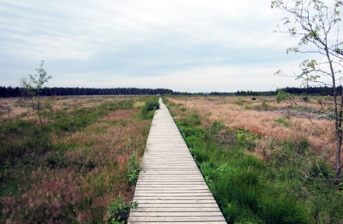 Weserbach to the Hohes Venn