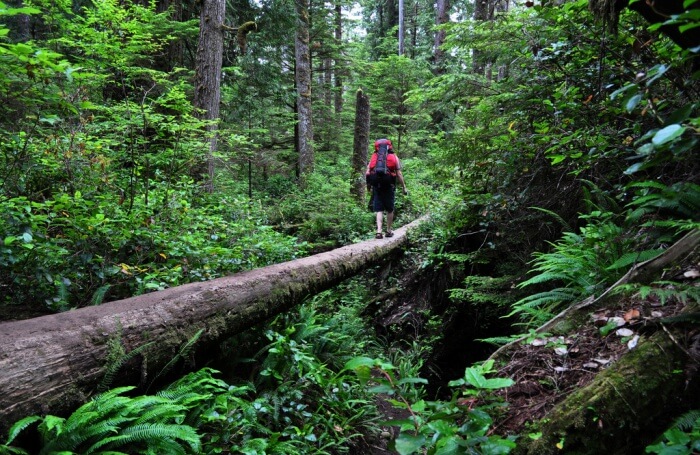 West Coast Trail to Victoria