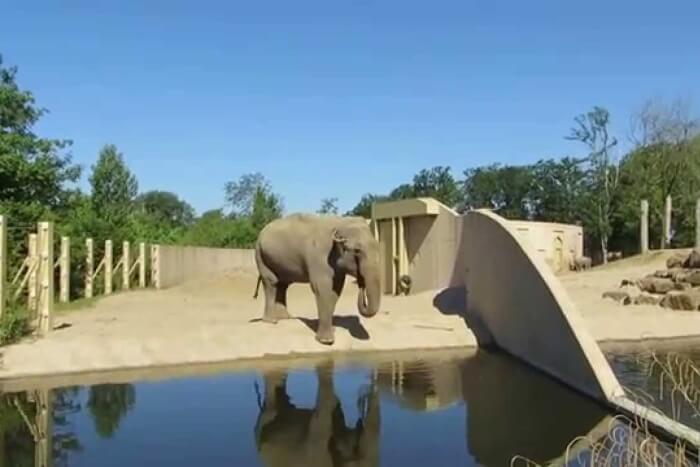 ZOO Planckendael