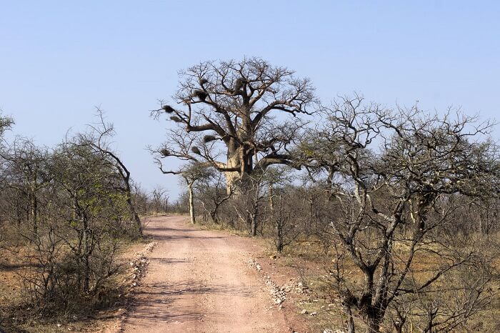 ZOUTPANSBERG SKIRMISHES ROUTE