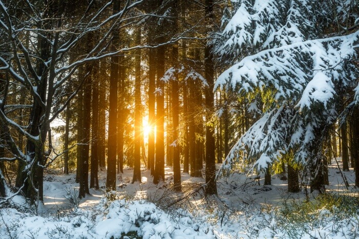 winter