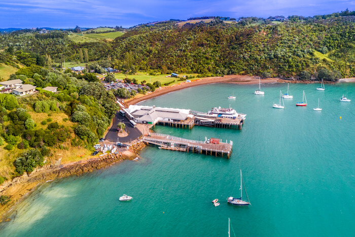 Amazing Auckland in January