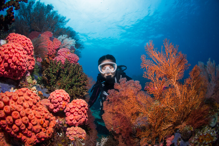 Best of Scuba Diving in Fiji