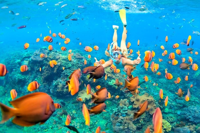 a girl snorkeling