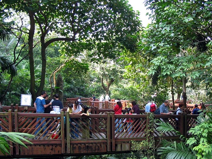 aviary in hong kong
