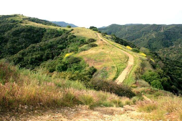 Westridge Canyonback Wilderness Park