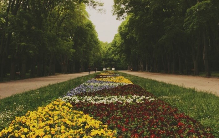 Sea Garden