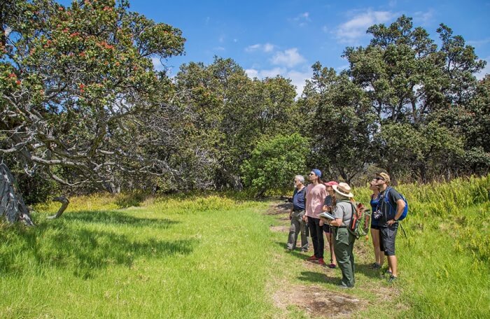 A Guided Nature Walk
