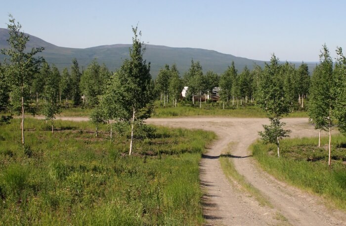 Arctic Circle trail