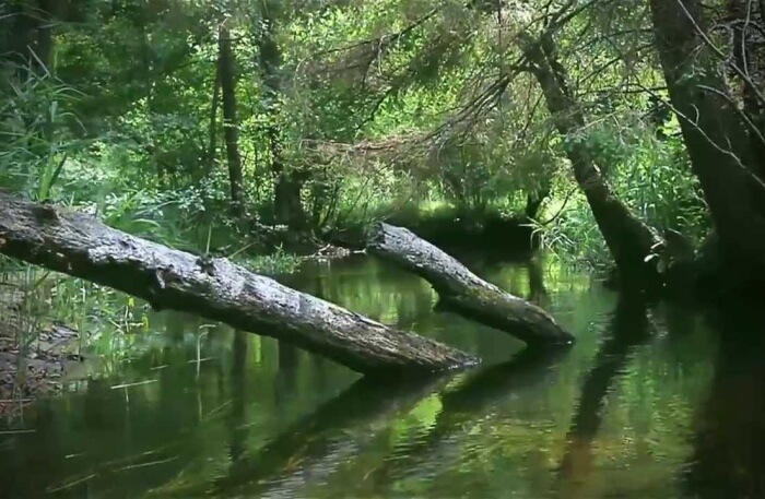Aukstaitija National Park