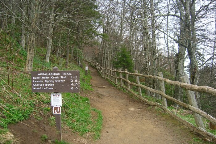 Best Experiences On The Appalachian Trail