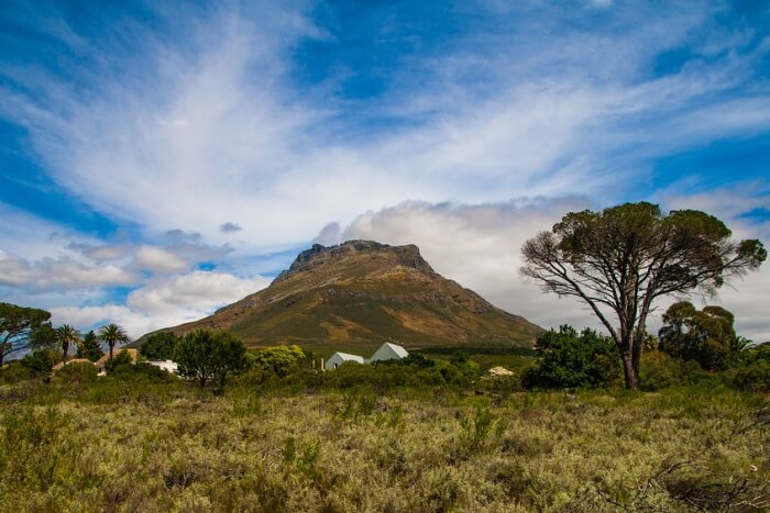 Stellenbosch