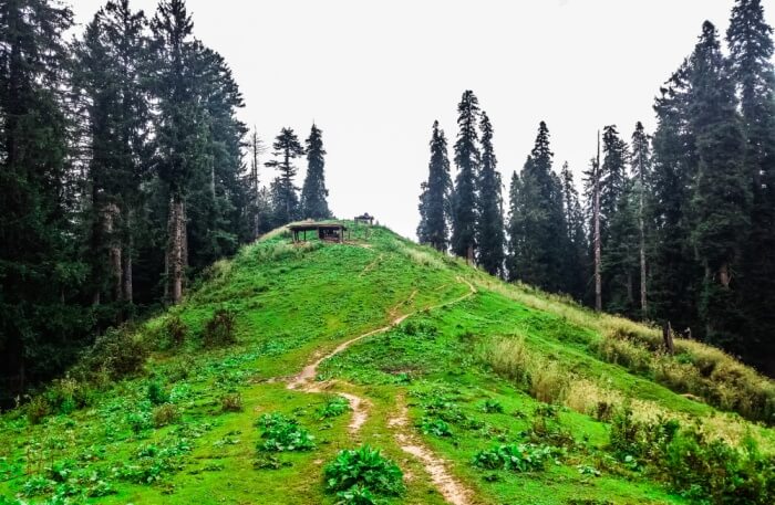 Bhaderwah
