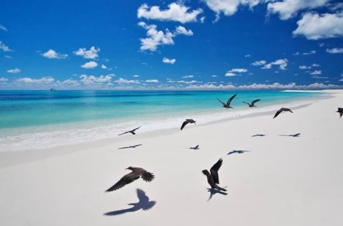 Bird Island - Aldabra Atoll