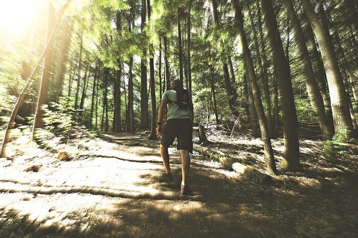 Bird’s Nest Hike