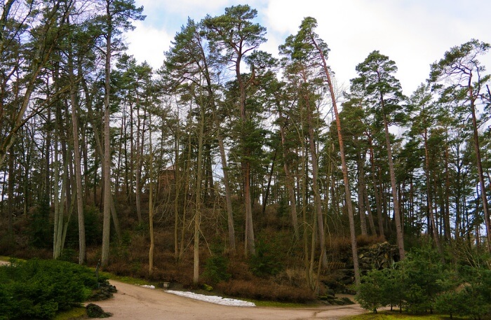 Birute Park