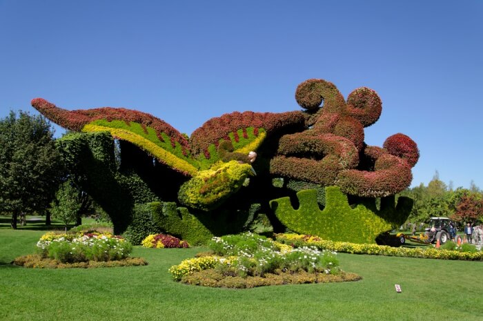 Boris’ Garden