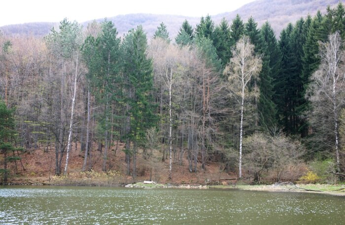 Boyana Lake