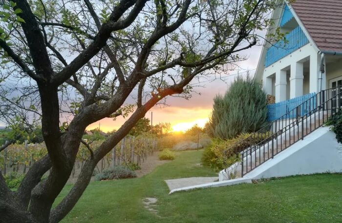 Catherine’s Vineyard Cottages