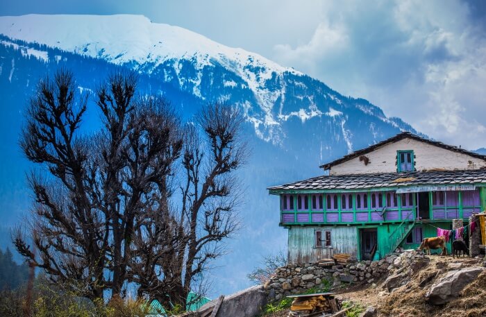 Snow mountain peak view