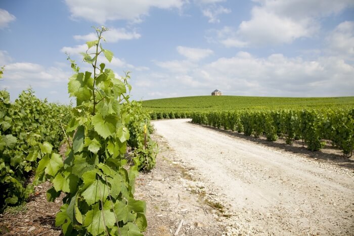Champagne de Castellane