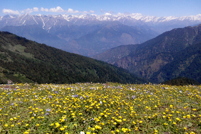 Chandrakhani Pass near Manali