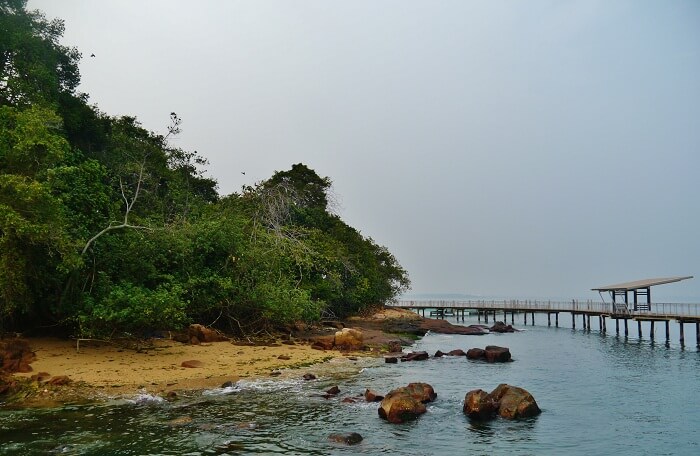 Chek Jawa