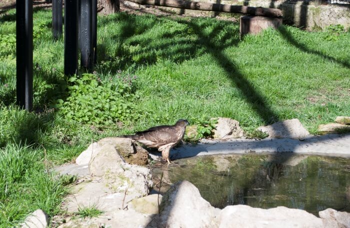 Chișinău Zoo