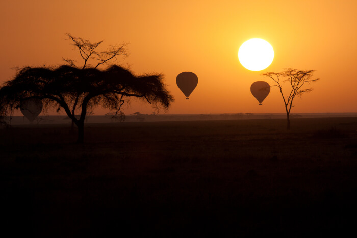 A landscape silhouette in South Africa