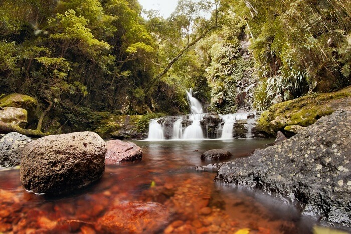 view of tara park queensland