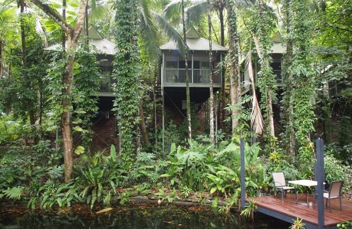 Daintree Eco Spa & Lodge