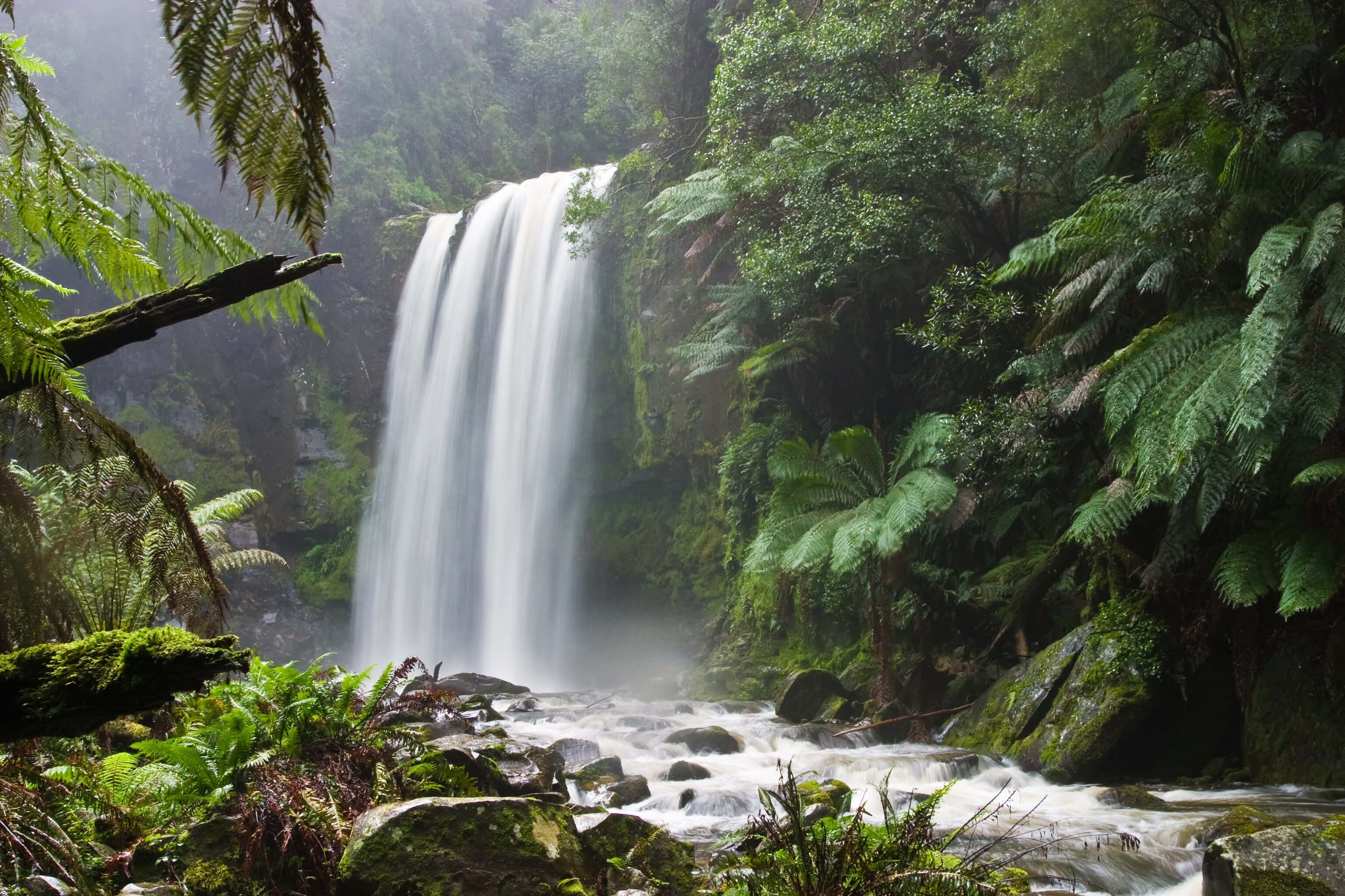 Daintree National Park