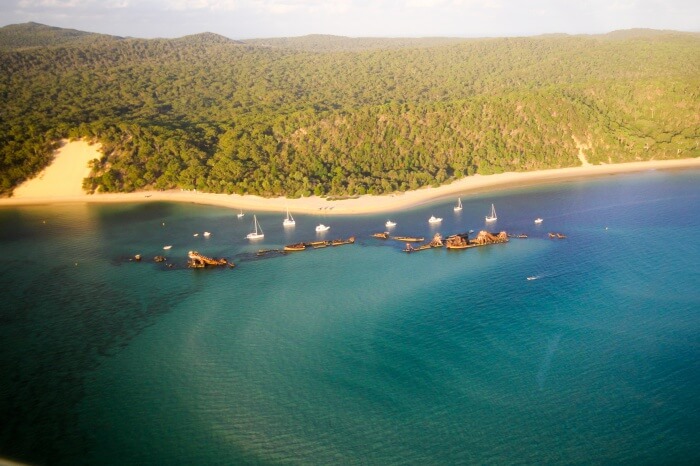 Dolphin Cruise to the Tangalooma Wrecks