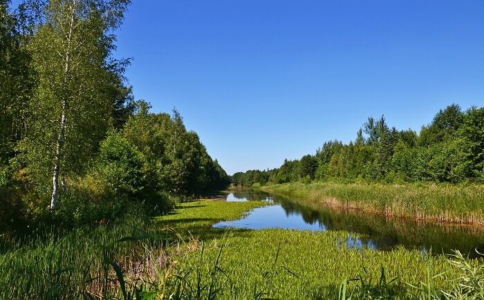 Dviete Floodplains