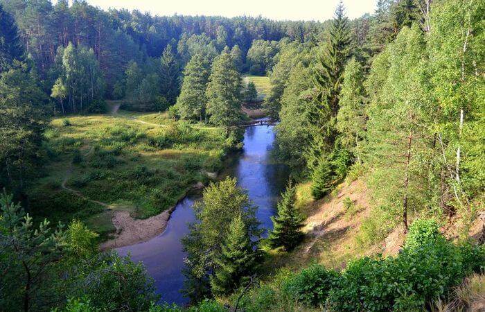 Dzukija Nationa Park
