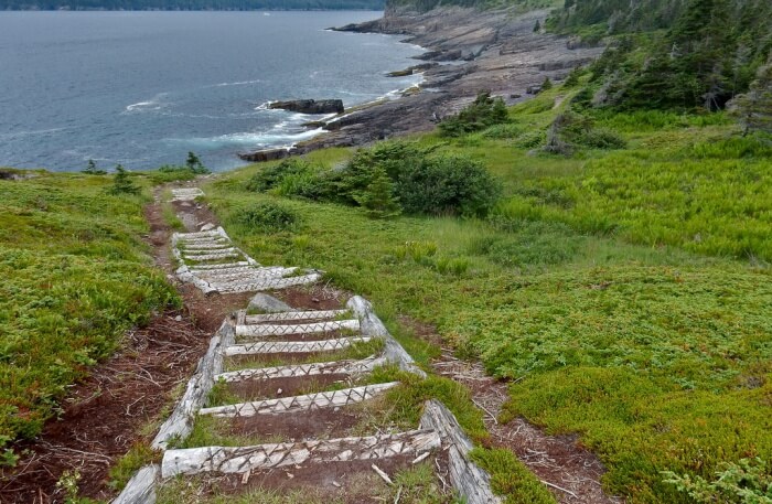 East Coast Trail view