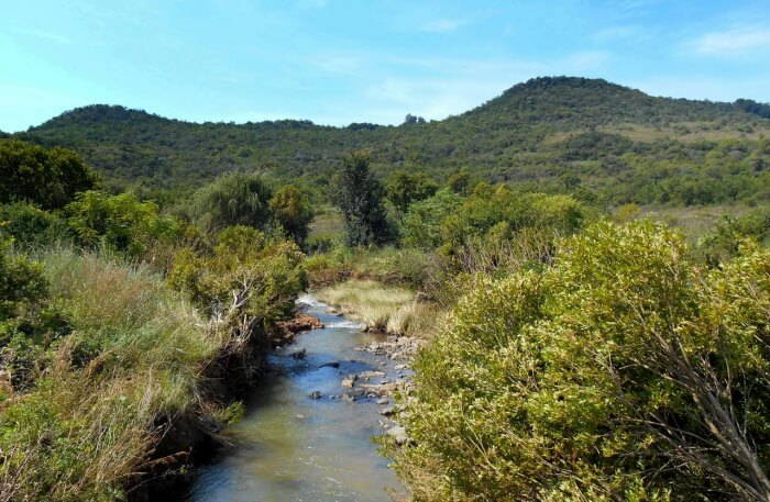 Nature Reserve view