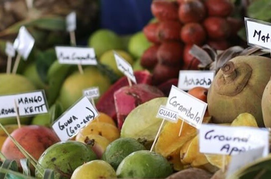 Feast of the Senses