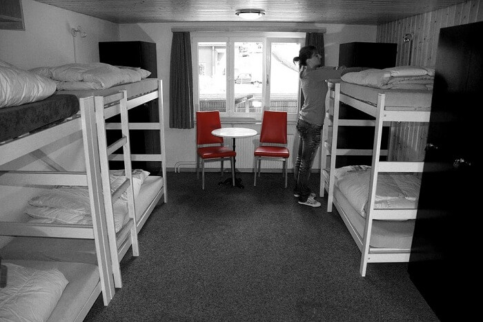 Freddy’s House