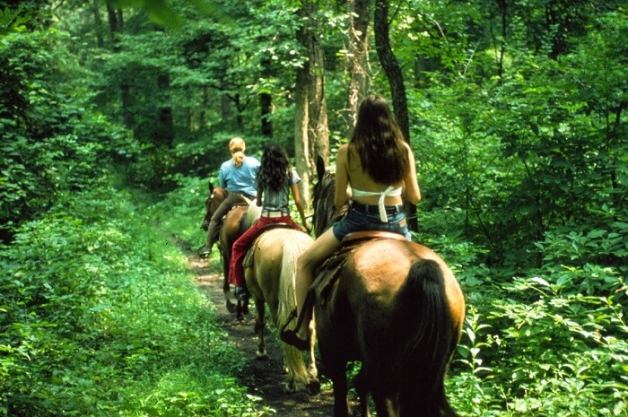 Garden Route Horse Trails