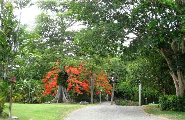 Botanical Garden